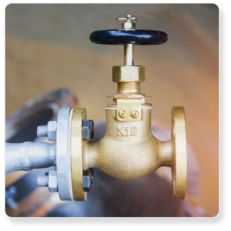 Globe Valves